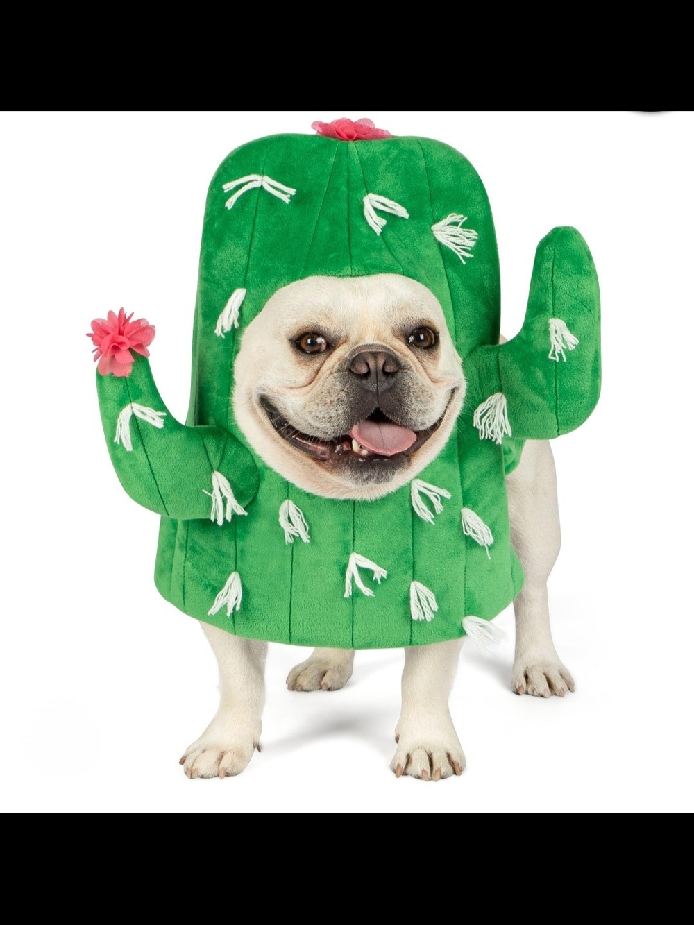 Dog Cactus Costume - Green Plush Pet Outfit